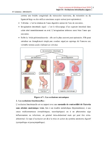Page 4 - ITEM_54_OCCLUSION_INTESTINALE